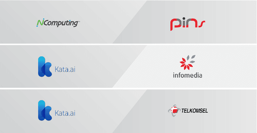 Digital Synergy Champion